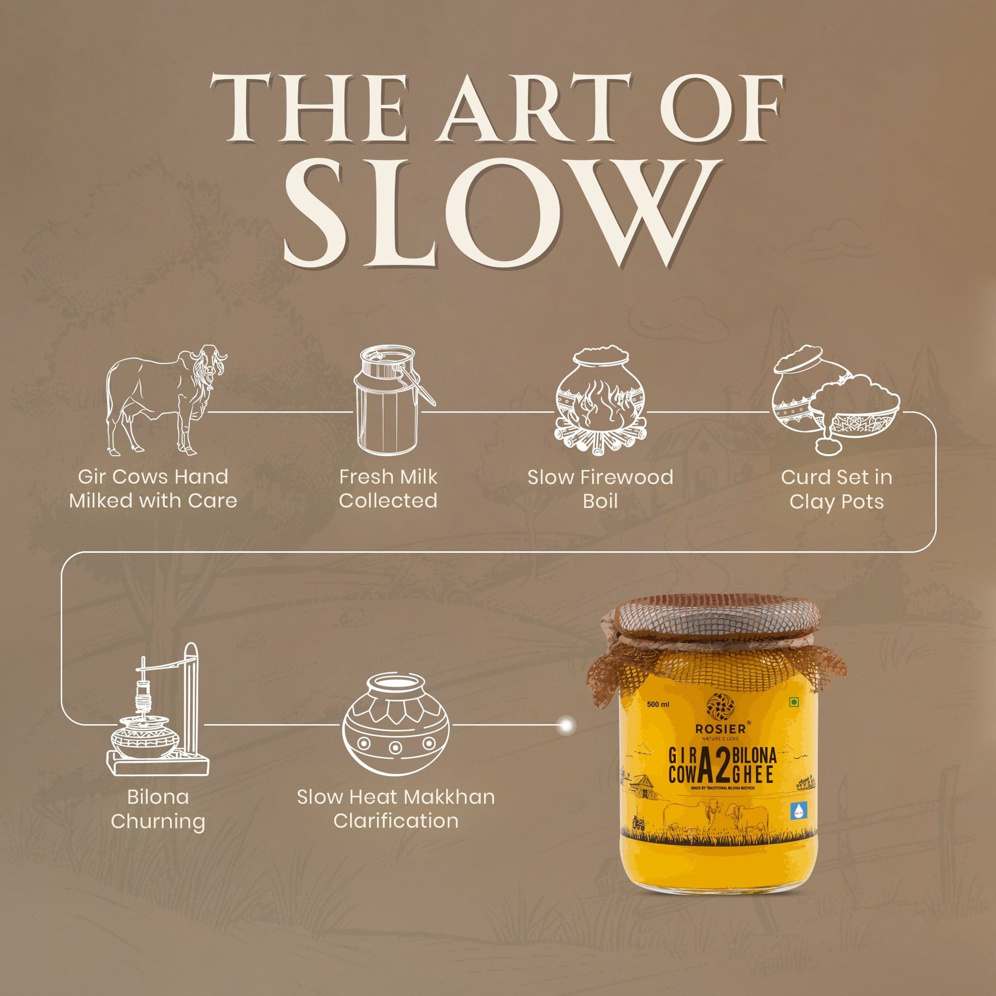 Traditional Gir Cow A2 Bilona Ghee making process by Ashoka Organics, from hand-milked Gir cows and curd fermentation to Bilona churning and slow heat clarification