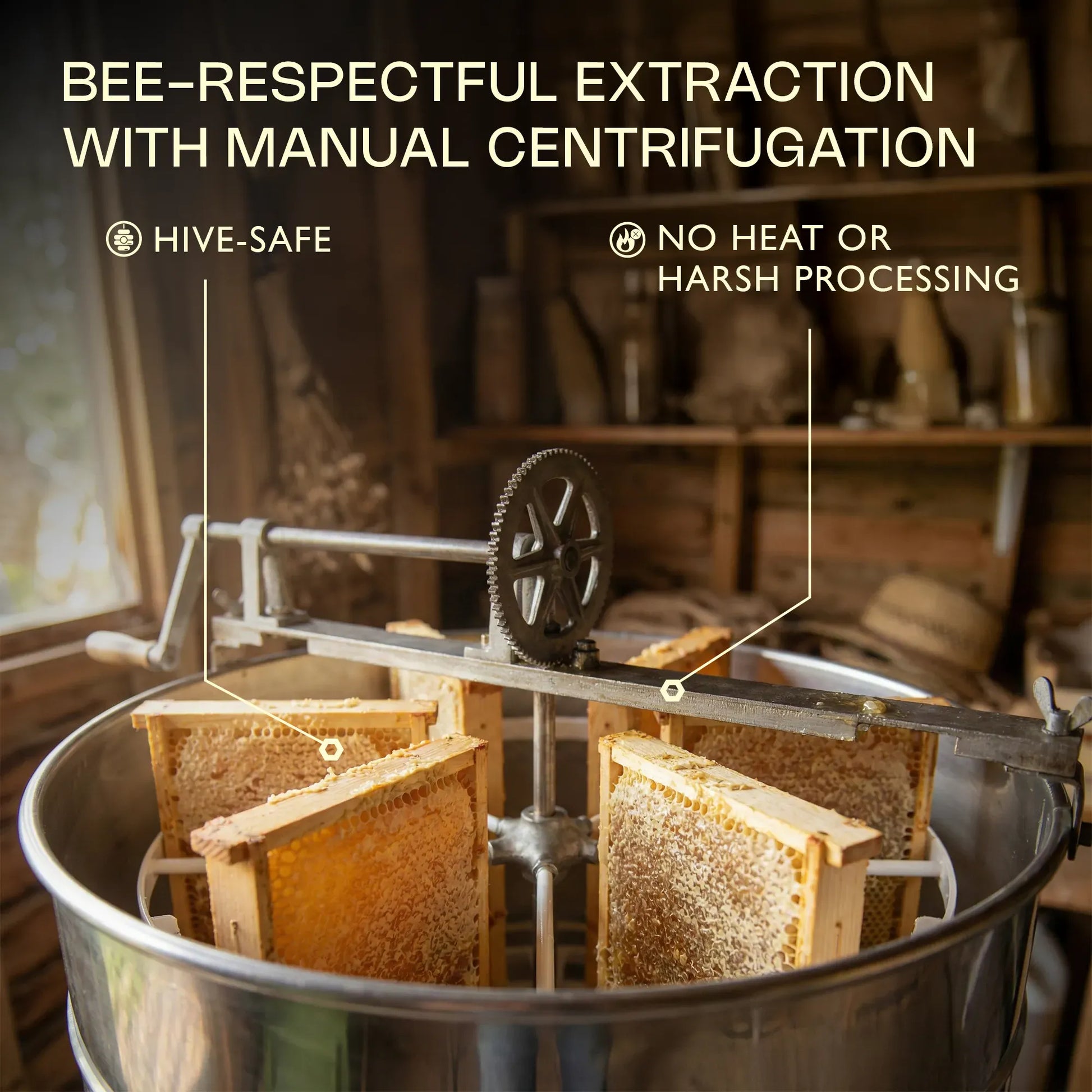 Ashoka Organics bee-respectful honey extraction using manual centrifugation, preserving raw wild forest honey without heat or harsh processing.