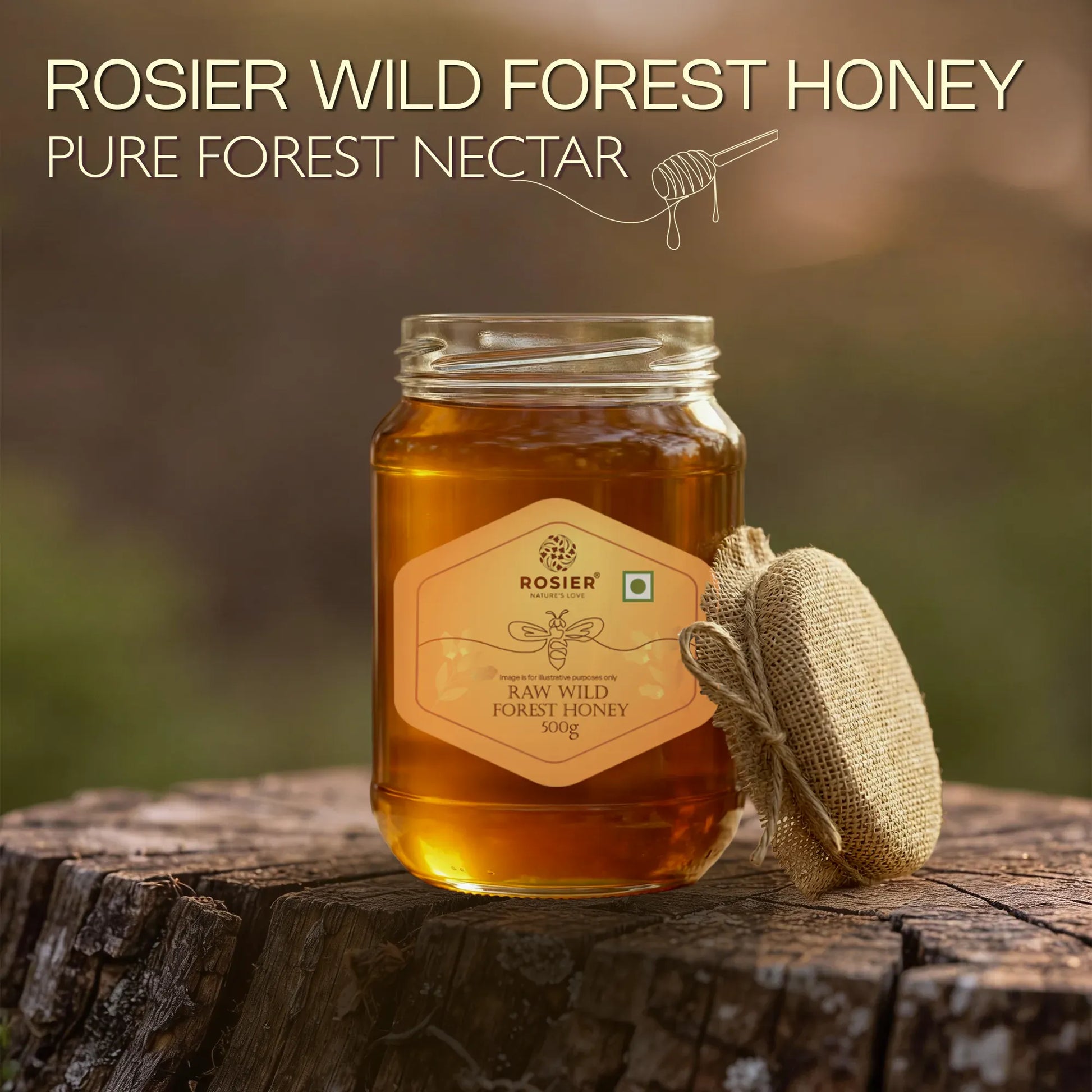 Ashoka Organics Raw Wild Forest Honey 500g – Pure natural forest nectar in a glass jar